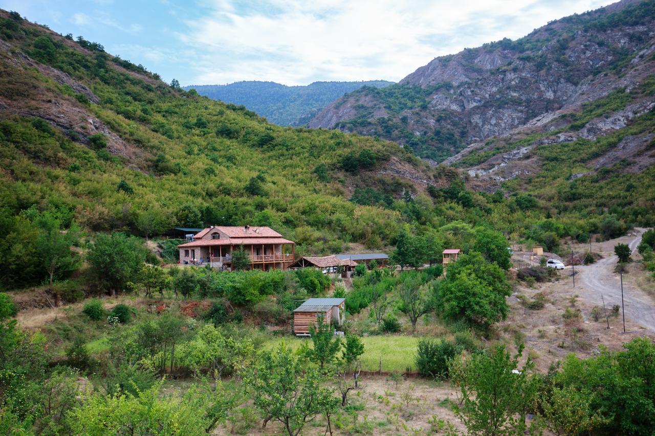 Nika Vacheishvili's guest house Didi Ateni Extérieur photo